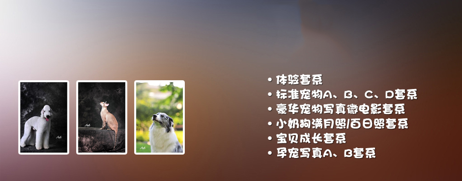 美容等费用.具体事宜另议图片